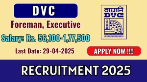 DVC Foreman, Executive Recruitment 2025 - Apply Online for 13 Posts Before April 29 DVC Foreman, Executive Recruitment 2025 - Apply Online for 13 Posts Before April 29