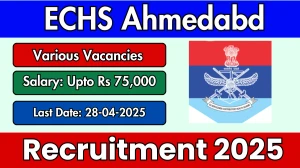 ECHS Ahmedabd DEO Recruitment 2025 - Apply Offline for 09 Posts