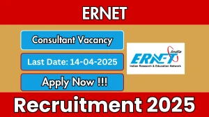 ERNET Consultant Recruitment 2025 - Apply Offline for 01 Posts Before April 14