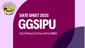 GGSIPU Date Sheet 2025 Announced @ ipu.ac.in Details Here GGSIPU Date Sheet 2025 Announced @ ipu.ac.in Details Here