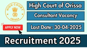 High Court of Orissa Consultant Recruitment 2025 - Apply Offline for 01 Posts Before April 30