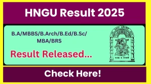 HNGU Result 2025 Released at ngu.ac.in Direct Link to Download 2nd, 3rd, 5th, 7th, 9th Semester Result