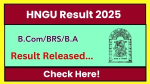 HNGU Result 2025 Released at ngu.ac.in Direct Link to Download 3rd Semester Result HNGU Result 2025 Released at ngu.ac.in Direct Link to Download 3rd Semester Result