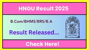 HNGU Result 2025 Released at ngu.ac.in Direct Link to Download 3rd Semester Result