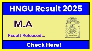 HNGU Result 2025 Out at ngu.ac.in Direct Link to Download Third Semester Result