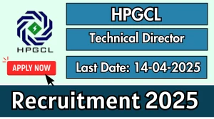 HPGCL Technical Director Recruitment 2025 - Apply Offline for 01 Posts Before April 14