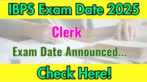 IBPS Clerk Prelims Exam Date 2025 Announced at ibps.in Exam details here