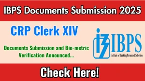 IBPS CRP Clerk XIV Documents Submission and Bio-metric Verification 2025: Check Document Verification Date @ ibps.in