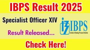 IBPS Specialist Officer XIV Final Result 2025 Announced. Direct Link to Check IBPS Specialist Officer XIV Result 2025 ibps.in