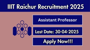 IIIT Raichur Assistant Professor Recruitment 2025 - Apply Online for 07 Posts Before April 30