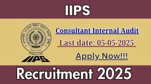 IIPS Consultant Internal Audit Recruitment 2025 - Apply Offline Before May 05