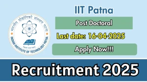 IIT Patna Post Doctoral Recruitment 2025 - Apply Offline for 01 Posts Before April 16