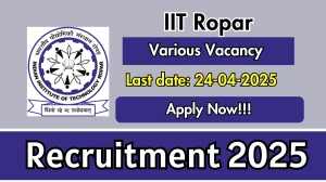 IIT Ropar Recruitment 2025 - Apply Online for Assistant, Senior Manager, Executive Assistant and More Posts Before April 24