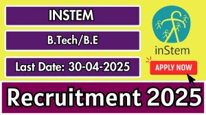 INSTEM Programmer/Web Developer Recruitment 2025 - Apply Online INSTEM Programmer/Web Developer Recruitment 2025 - Apply Online