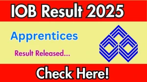 Indian Overseas Bank Apprentices Result 2025 Out at iob.in, Direct Link to Download Result PDF Here