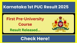Karnataka 1st PUC Result 2025 Out at kseab.karnataka.gov.in How to check Results Here