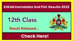 KSEAB Karnataka 2nd PUC Results 2025 Declared: Check Your Scores at karresults.nic.in