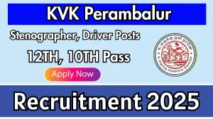 KVK Perambalur Recruitment 2025 - Apply Offline for 2 Stenographer, Driver Posts