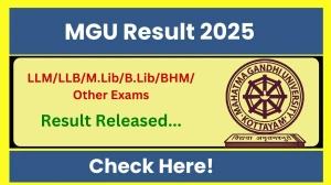 MGU Result 2025 Released at mgu.ac.in Direct Link to Download 1st, 2nd, 6th, 8th Semester Result MGU Result 2025 Released at mgu.ac.in Direct Link to Download 1st, 2nd, 6th, 8th Semester Result