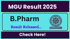 MGU Result 2025 Released at mgu.ac.in Direct Link to Download UG Course Result