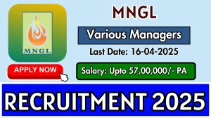 MNGL Various Managers Recruitment 2025 - Apply Online for Deputy Manager, Senior Manager and Other Posts
