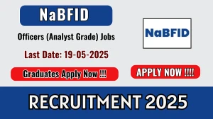 NaBFID Officers (Analyst Grade) Recruitment 2025 - Apply Online for 66 Latest Job Vacancies NaBFID Officers (Analyst Grade) Recruitment 2025 - Apply Online for 66 Latest Job Vacancies
