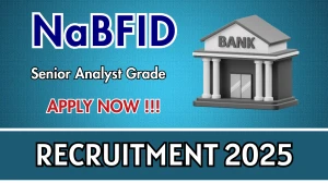 NaBFID Senior Analyst Recruitment 2025 - Apply Online for 31 Posts Before May 04 NaBFID Senior Analyst Recruitment 2025 - Apply Online for 31 Posts Before May 04