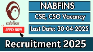 NABFINS Recruitment 2025 - Apply Online for Customer Service Officer, Customer Service Executive Posts Before April 30