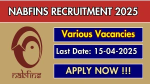 NABFINS Recruitment 2025 - Apply Online for Lead Auditor, Deputy Chief Financial Officer Posts NABFINS Recruitment 2025 - Apply Online for Lead Auditor, Deputy Chief Financial Officer Posts