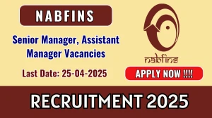 NABFINS Recruitment 2025 - Apply Online for Senior Manager, Assistant Manager Posts Before April 25 NABFINS Recruitment 2025 - Apply Online for Senior Manager, Assistant Manager Posts Before April 25