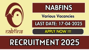NABFINS Regional Manager, Lead Auditor Recruitment 2025 - Apply Online Before April 17 NABFINS Regional Manager, Lead Auditor Recruitment 2025 - Apply Online Before April 17