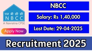 NBCC Senior Expert Recruitment 2025 - Apply Offline for 01 Posts