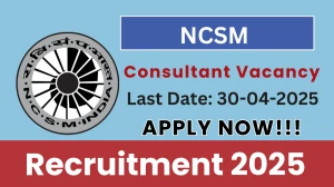 NCSM Consultant Recruitment 2025 - Apply Offline for 02 Posts Before April 30