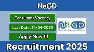 NeGD Consultant Recruitment 2025 - Apply Online for 04 Posts Before April 24