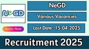 NeGD Power BI Developer, Database Administrator Recruitment 2025 - Apply Online for 03 Power BI Developer, Database Administrator Posts