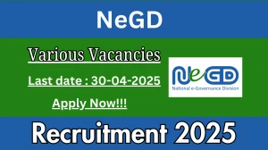 NeGD Recruitment 2025 - Apply Online for 06 Developer, DevOps Engineer and More Posts Before April 30