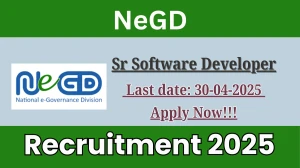 NeGD Senior Software Developer Recruitment 2025 - Apply Online for 01 Posts Before April 30