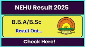 NEHU Result 2025 Released at nehu.ac.in Direct Link to Download 1st, 2nd, 3rd, 4th, 5th Semester Result
