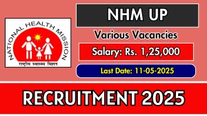 NHM UP Recruitment 2025 - Apply Online for 05 General Manager, Chief Engineer Posts Before May 11 NHM UP Recruitment 2025 - Apply Online for 05 General Manager, Chief Engineer Posts Before May 11