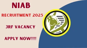 NIAB Junior Research Fellow Recruitment 2025 - Apply Online for 01 Posts NIAB Junior Research Fellow Recruitment 2025 - Apply Online for 01 Posts