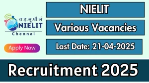 NIELIT Various Recruitment 2025 - Apply Offline for 29 Consultant, Faculty and Other Posts