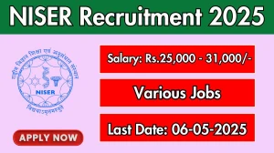 NISER Project Associate-I Recruitment 2025 - Apply Offline for 2 Posts Before May 06
