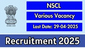 NSCL Director Recruitment 2025 - Apply Online for Various Director Posts