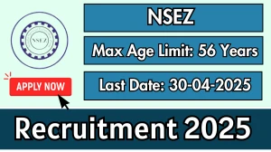 NSEZ Joint Development Commissioner Recruitment 2025 - Apply Offline NSEZ Joint Development Commissioner Recruitment 2025 - Apply Offline