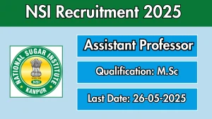 NSI Assistant Professor Recruitment 2025 - Apply Offline NSI Assistant Professor Recruitment 2025 - Apply Offline
