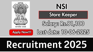NSI Store Keeper Recruitment 2025 - Apply Offline for 02 Posts Before June 10