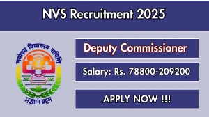 NVS Deputy Commissioner Recruitment 2025 - Apply Offline for 01 Posts Before May 31 NVS Deputy Commissioner Recruitment 2025 - Apply Offline for 01 Posts Before May 31