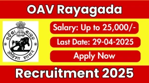 OAV Rayagada Contractual Teachers Recruitment 2025 - Apply Offline for 33 Posts