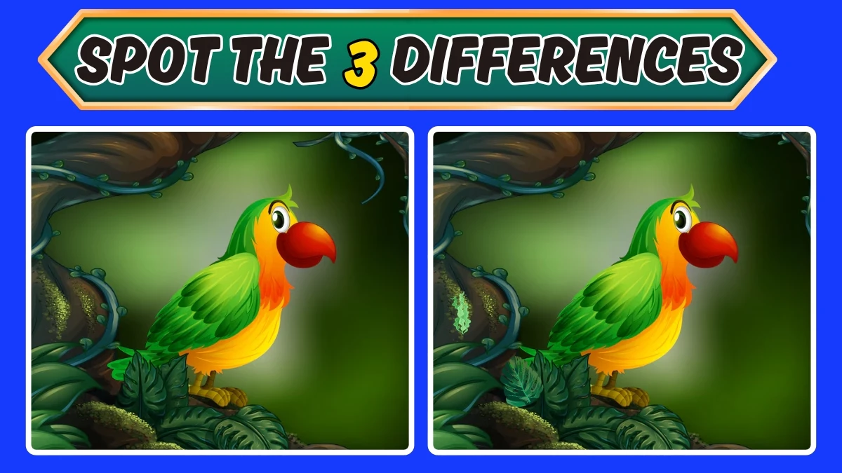 Optical Illusion 7 Seconds Challenge: Only 8K Vision Can Spot the 3 Differences in this Parrot Image