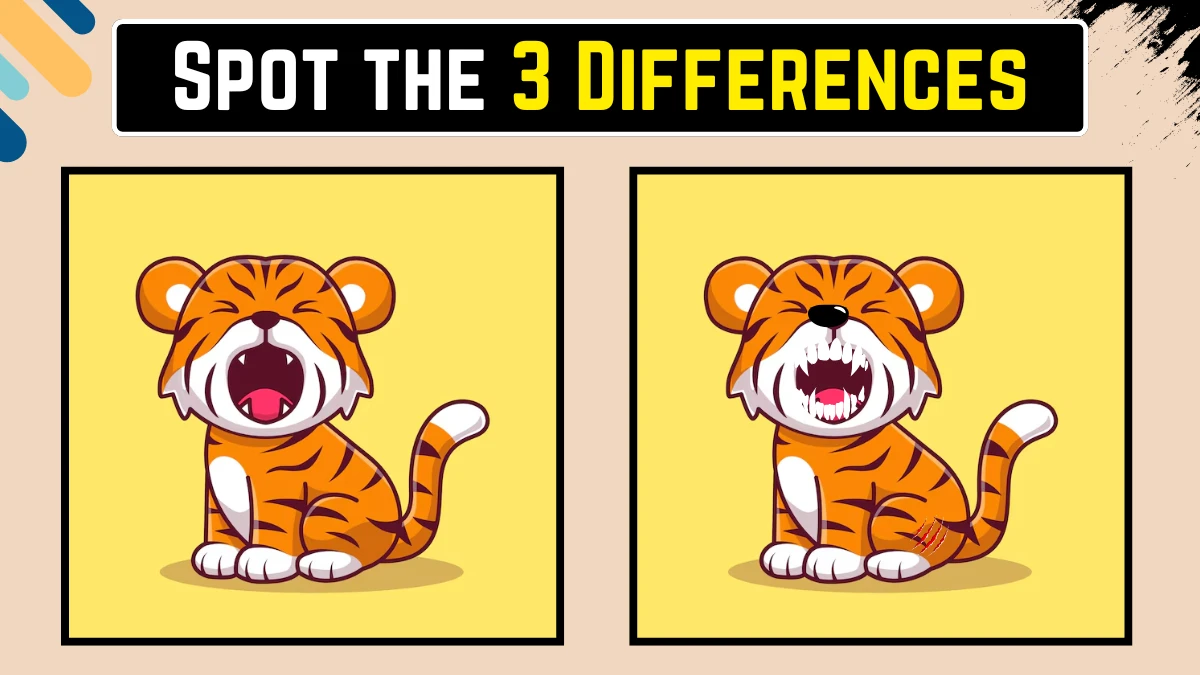 Optical Illusion 8 Seconds Challenge: Only 8K Vision Can Spot the 3 Differences in this Tiger Image